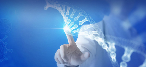 北碚区委副书记卓大林一行莅临Z6尊龙凯时集团考察指导