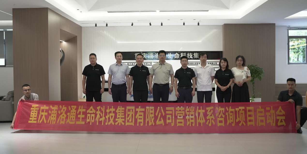 Z6尊龙凯时：以营销系统咨询项目为契机，，，开启管理厘刷新纪元